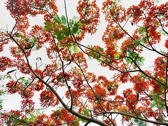 赢麻了！《绝地潜兵2》Xbox版首周销量近百万